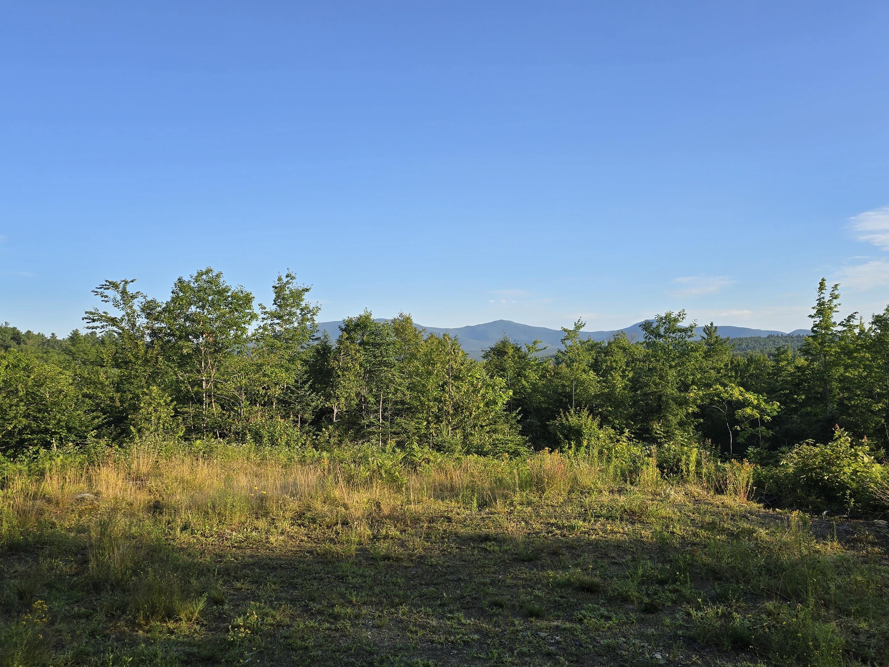 Lot #4 Woods Road Phillips, ME 04966 - Photo 8 of 27 ground shot 2
