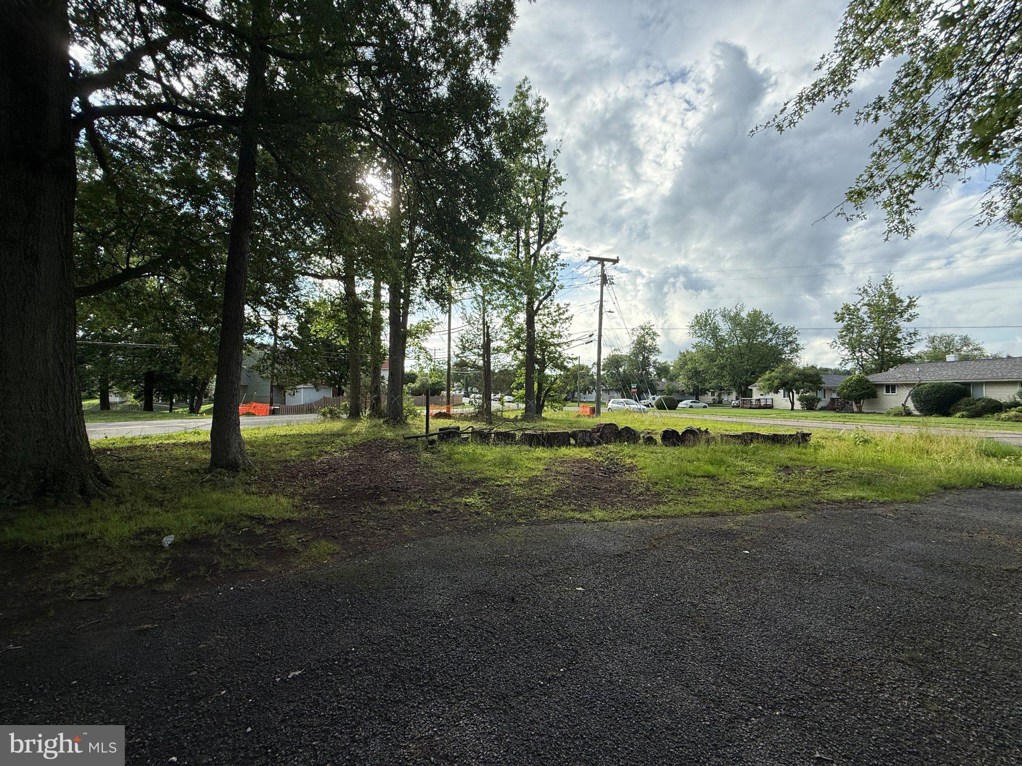 18299 Cabin Road Triangle, VA 22172 - Photo 4 of 5 Serene green space awaits transformation.