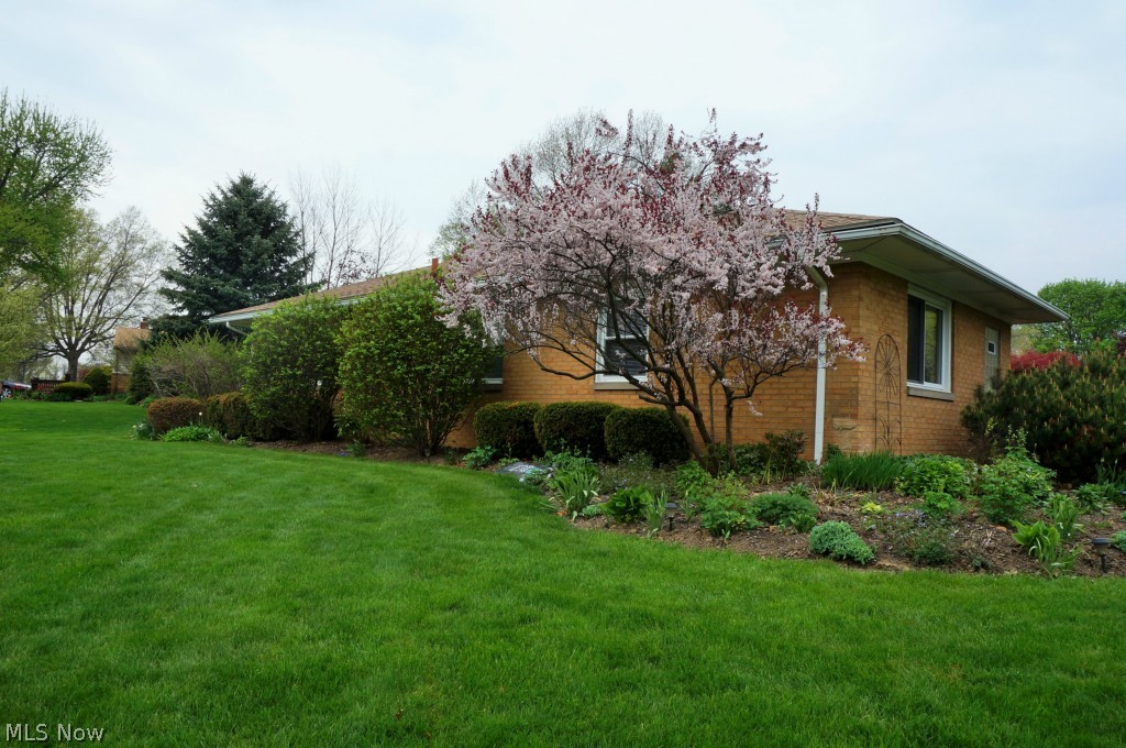547 Overwood Road Akron, OH 44313 - Photo 4 of 5