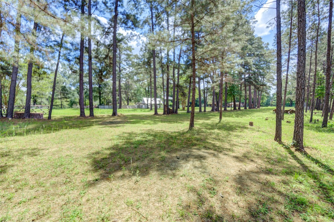 14016 Calhoun Road Conroe, TX 77302 - Photo 12 of 17