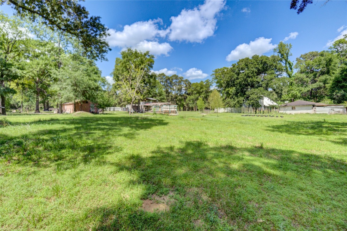 14016 Calhoun Road Conroe, TX 77302 - Photo 15 of 17