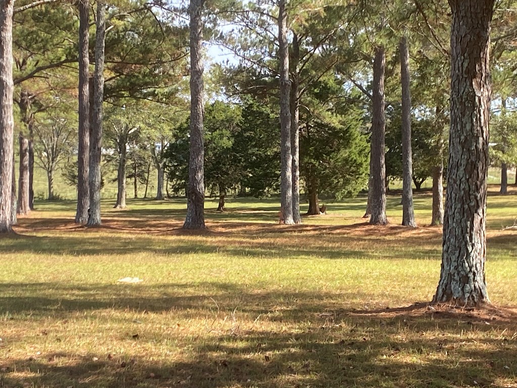 2780 3 Notch Road Enterprise, AL 36330 - Photo 6 of 73