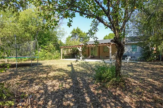 a view of a yard with plants and trees