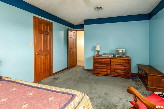 $400,000 | 11688 Strawberry Road, Carbondale, IL 62901