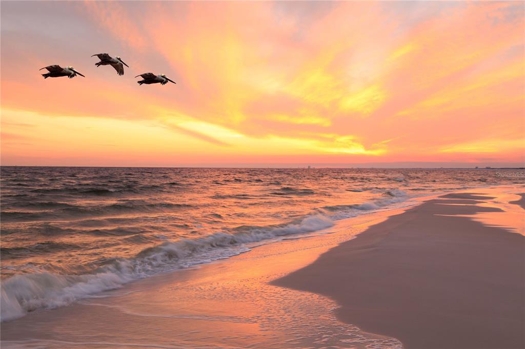 14120 Palm Street, Unit 104 Madeira Beach, FL 33708 - Photo 17 of 18 a view of an ocean