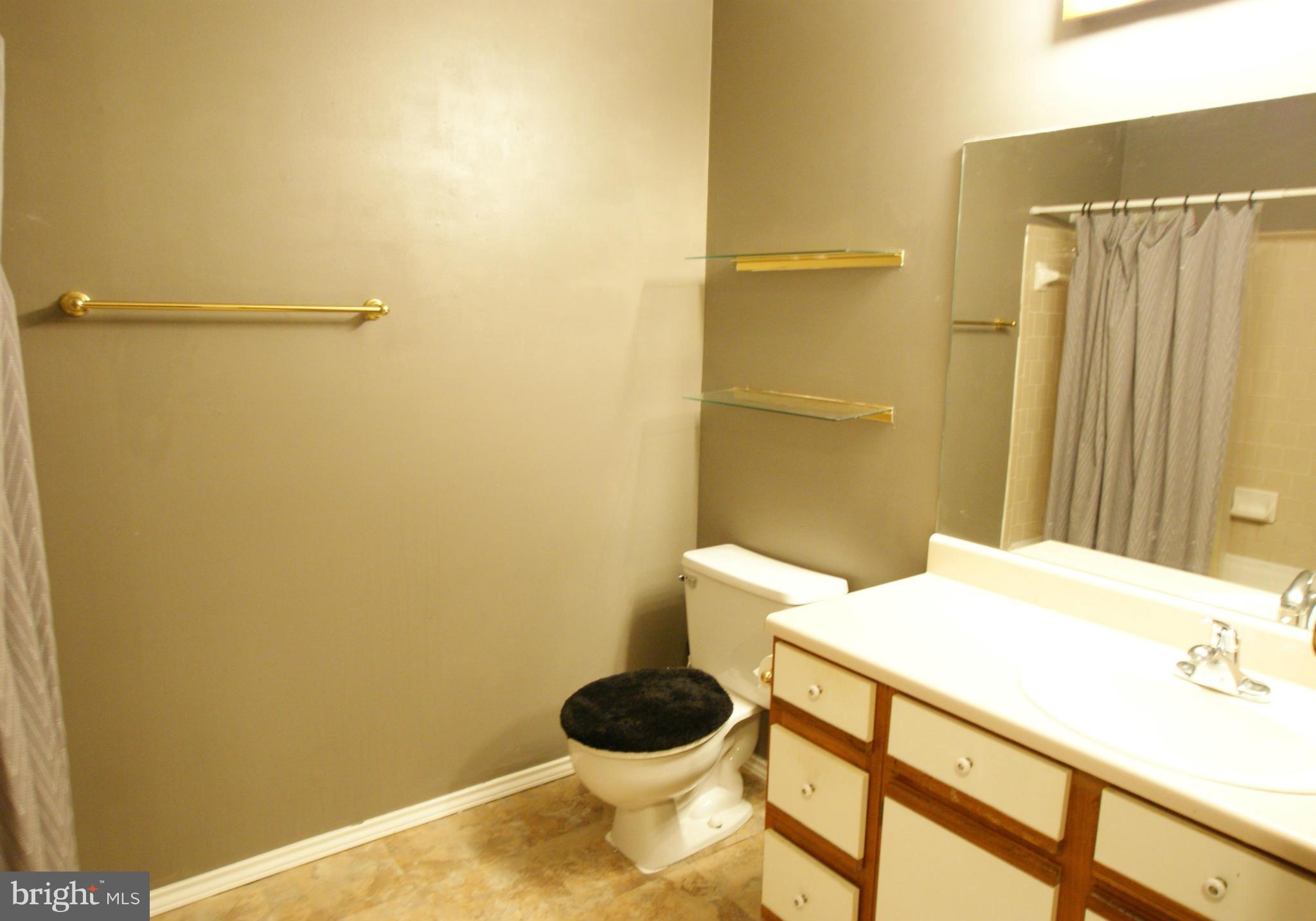 21007 Timber Ridge Terrace, Unit 201 Ashburn, VA 20147 - Photo 11 of 18 Spacious Bathroom