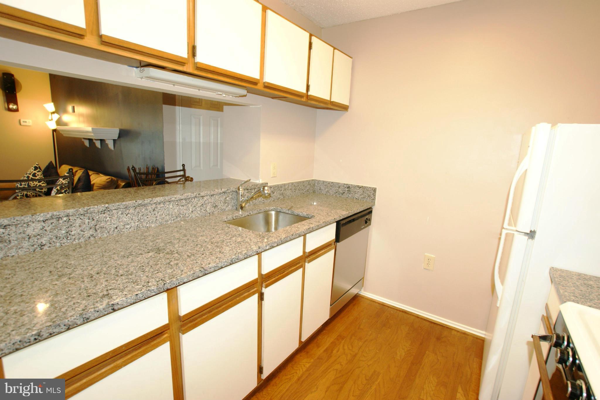 21007 Timber Ridge Terrace, Unit 201 Ashburn, VA 20147 - Photo 3 of 18 Lovely Kitchen with New Dishwasher