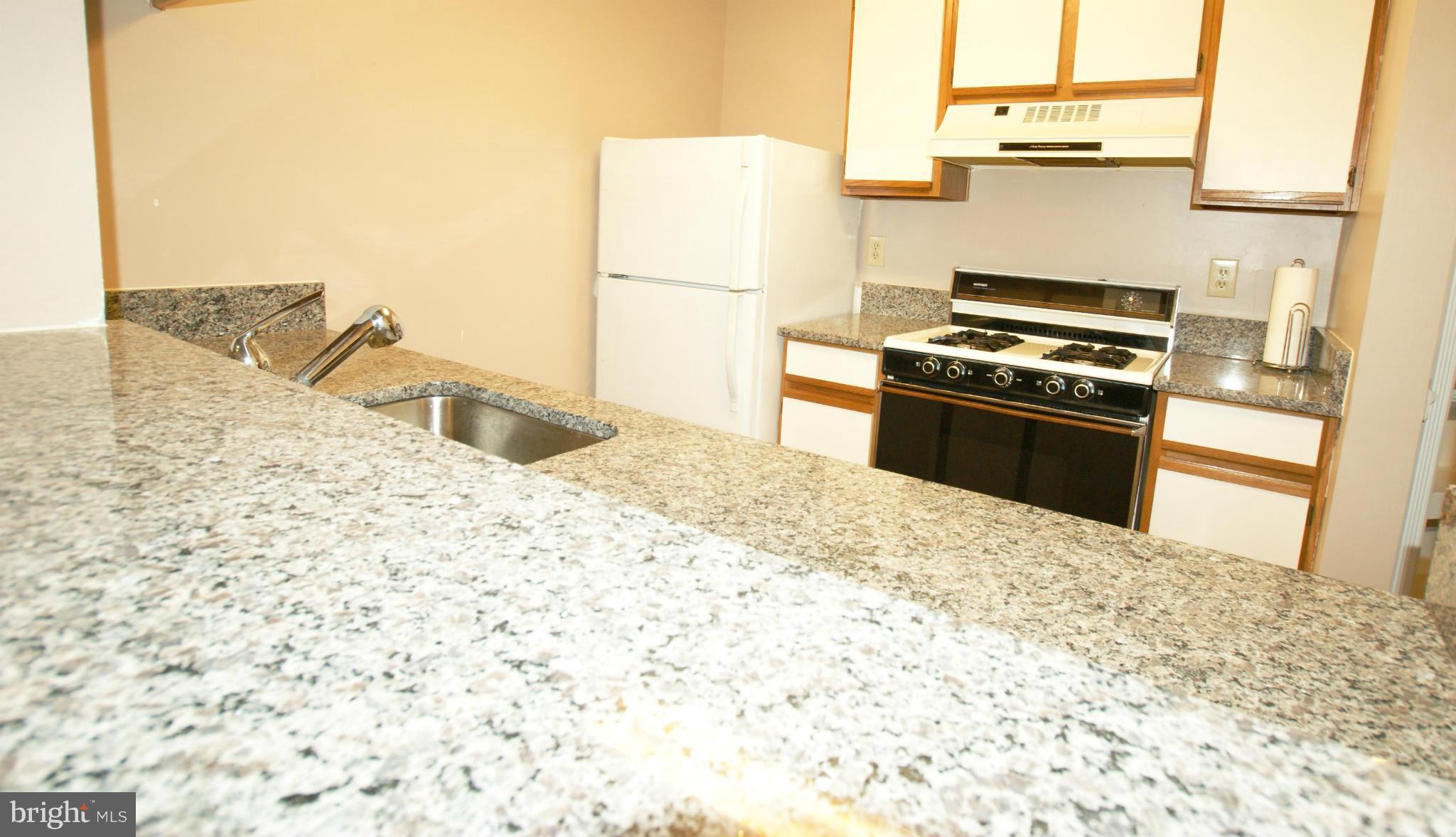 21007 Timber Ridge Terrace, Unit 201 Ashburn, VA 20147 - Photo 5 of 18 Brand New Granite