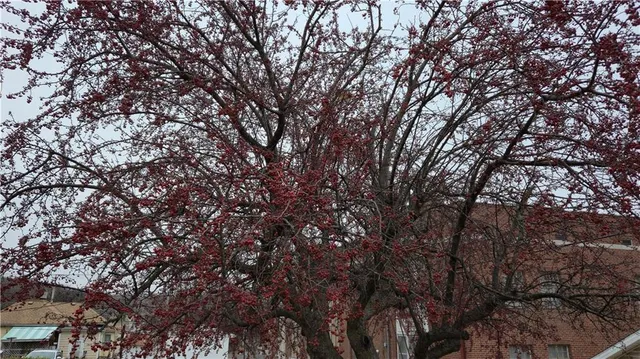 $149,900 | 1108 Roosevelt Avenue, St. Joseph, MO 64505