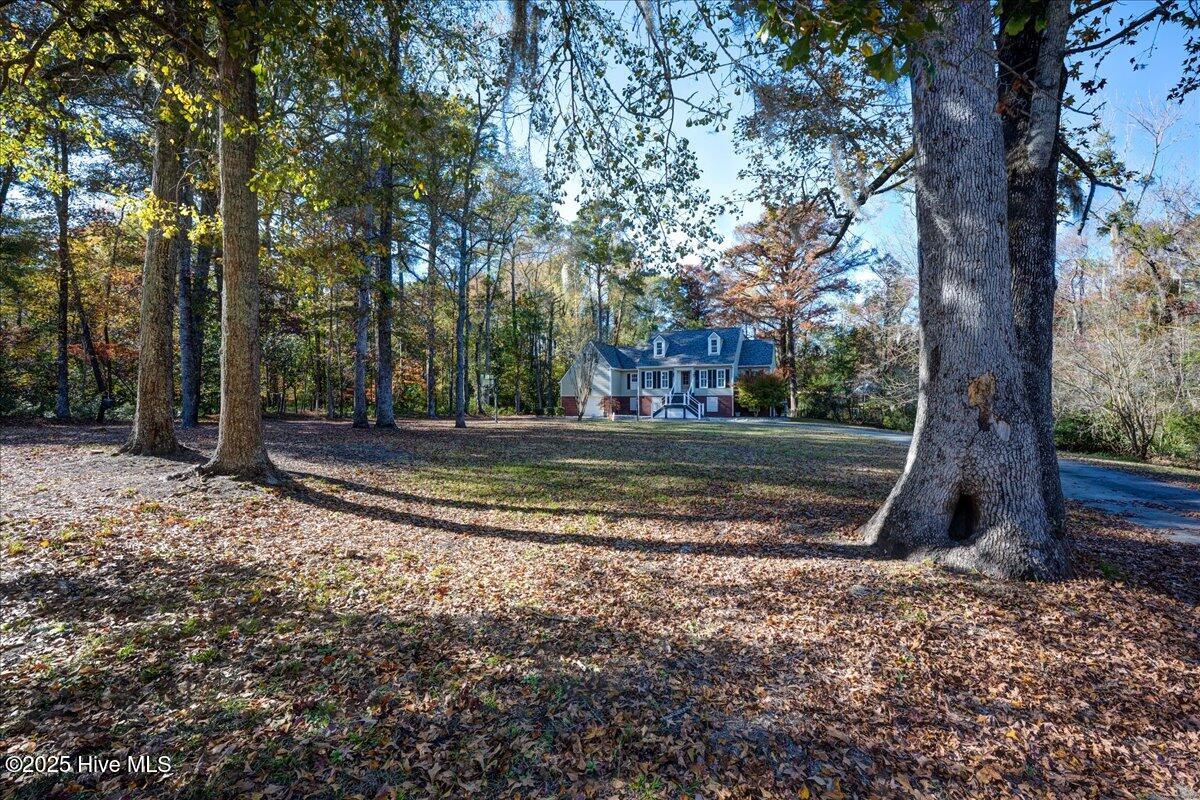 3302 Country Club Road Trent Woods, NC 28562 - Photo 63 of 78 06-3302_Country_Club-58