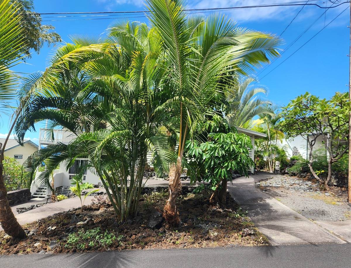 87-3179 Kihikihi Road Captain Cook, HI 96704 - Photo 8 of 17 Gallery Image 8