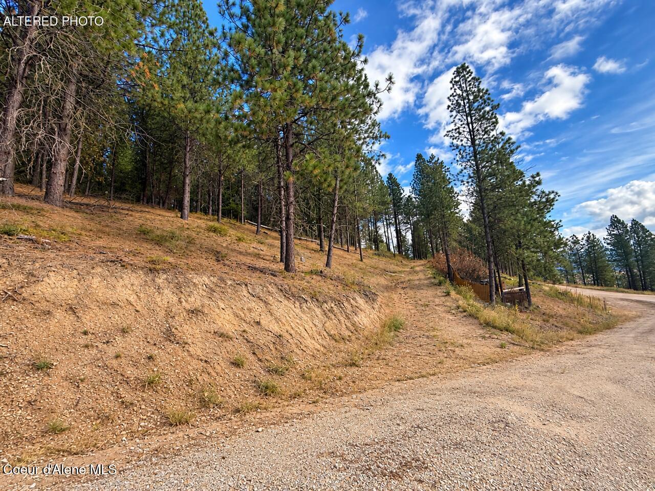 2972 South Fork Ridge Kingston, ID 83839 - Photo 1 of 12 Chat clean up 1
