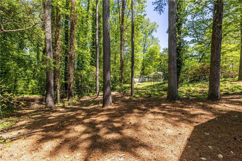 3598 Hidden Acres Drive Atlanta, GA 30340 - Photo 23 of 23 a view of outdoor space with lots of trees