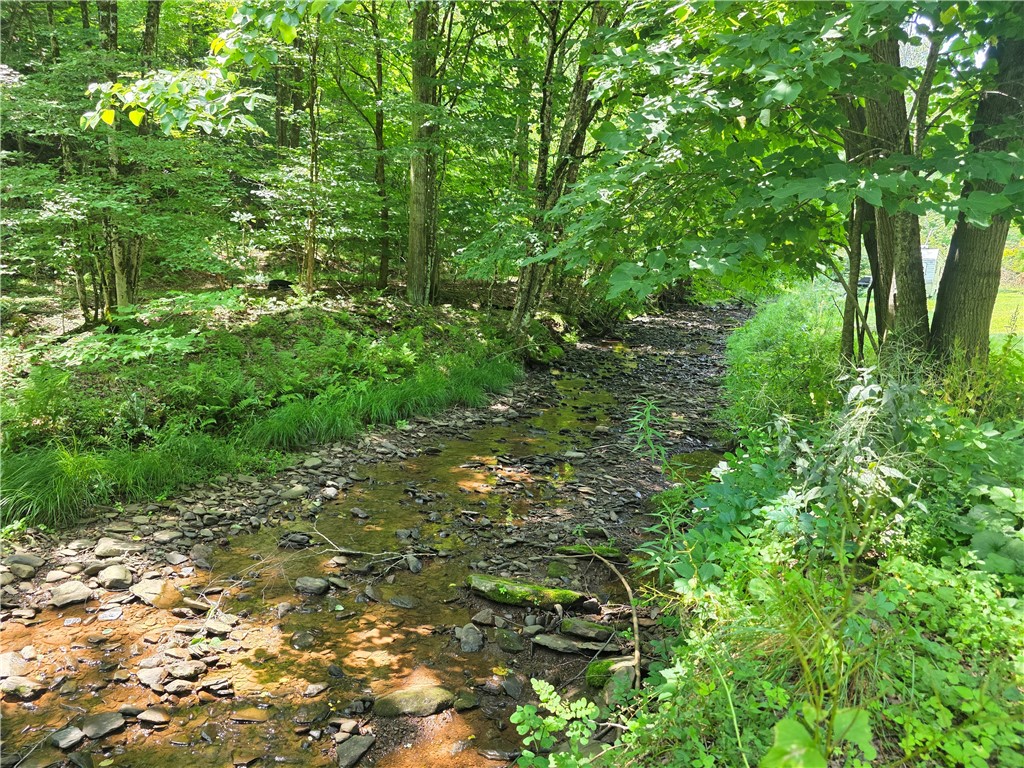 219 Lulu Coon Road Unadilla, NY 13849 - Photo 2 of 40