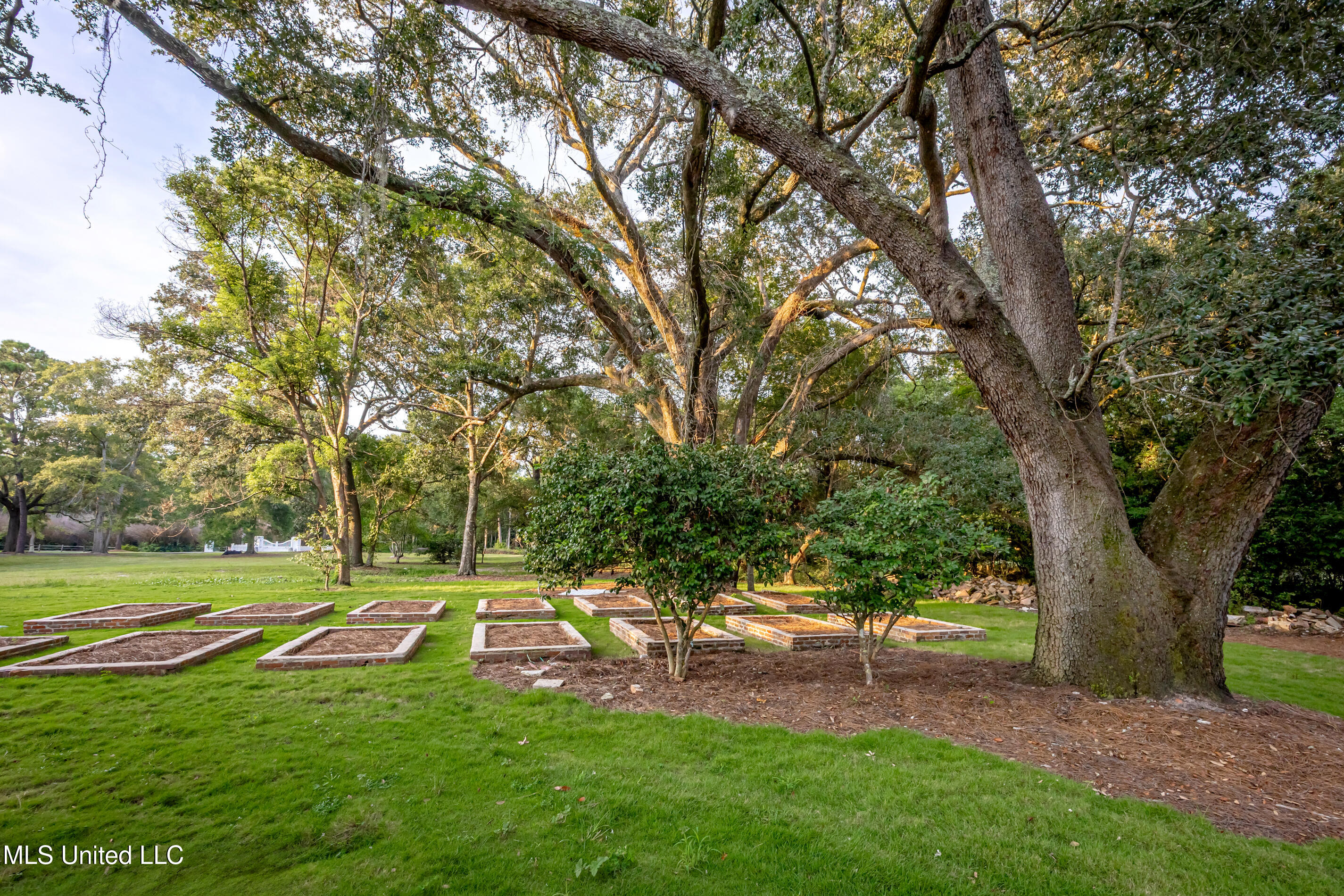 9777 Pointe Aux Chenes Road Ocean Springs, MS 39564 - Photo 17 of 191 5F5A5419