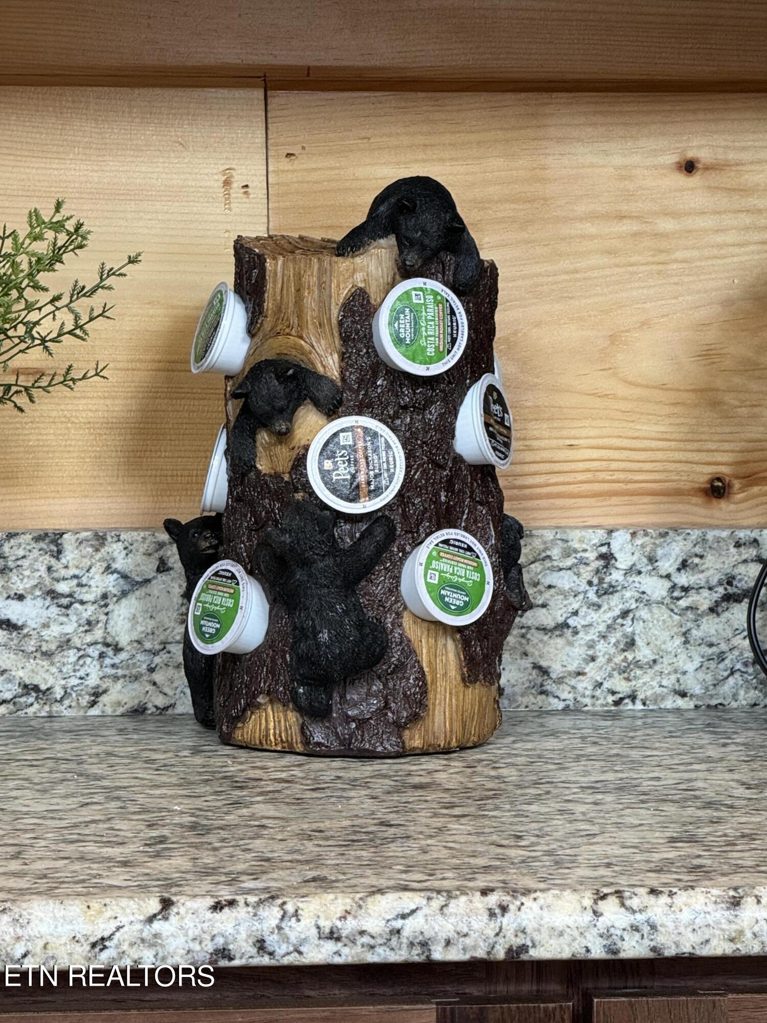 2880 Sequoia Road Pigeon Forge, TN 37863 - Photo 10 of 51 IMG_8425