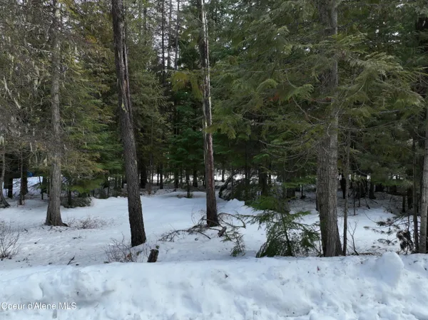 $289,000 | Lot 5 Cougar Gulch, Nordman, ID 83848