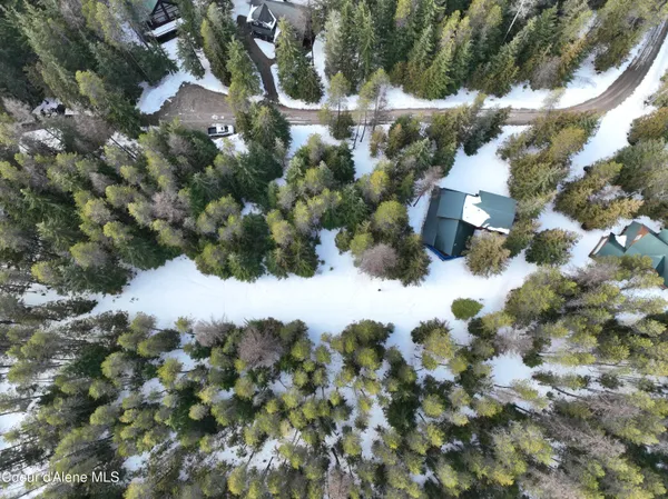 $289,000 | Lot 5 Cougar Gulch, Nordman, ID 83848