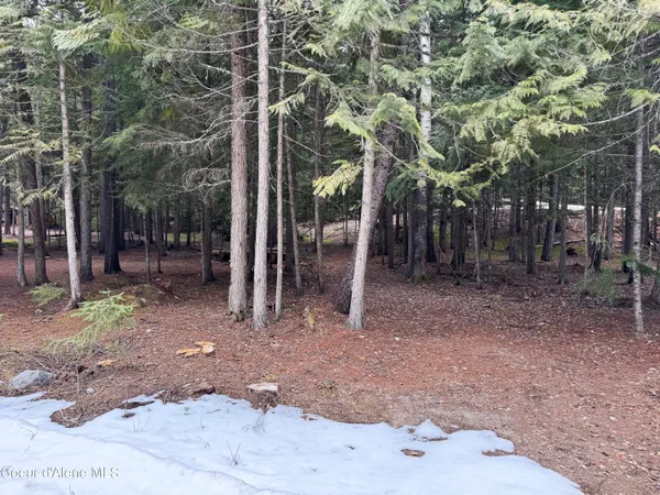 $289,000 | Lot 5 Cougar Gulch, Nordman, ID 83848