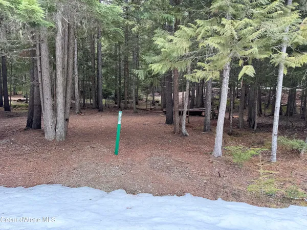 $289,000 | Lot 5 Cougar Gulch, Nordman, ID 83848