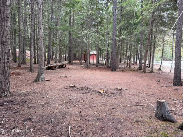 $289,000 | Lot 5 Cougar Gulch, Nordman, ID 83848