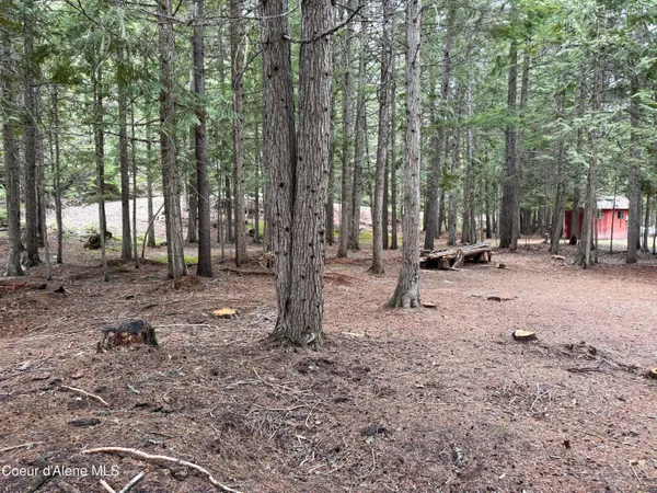 $289,000 | Lot 5 Cougar Gulch, Nordman, ID 83848