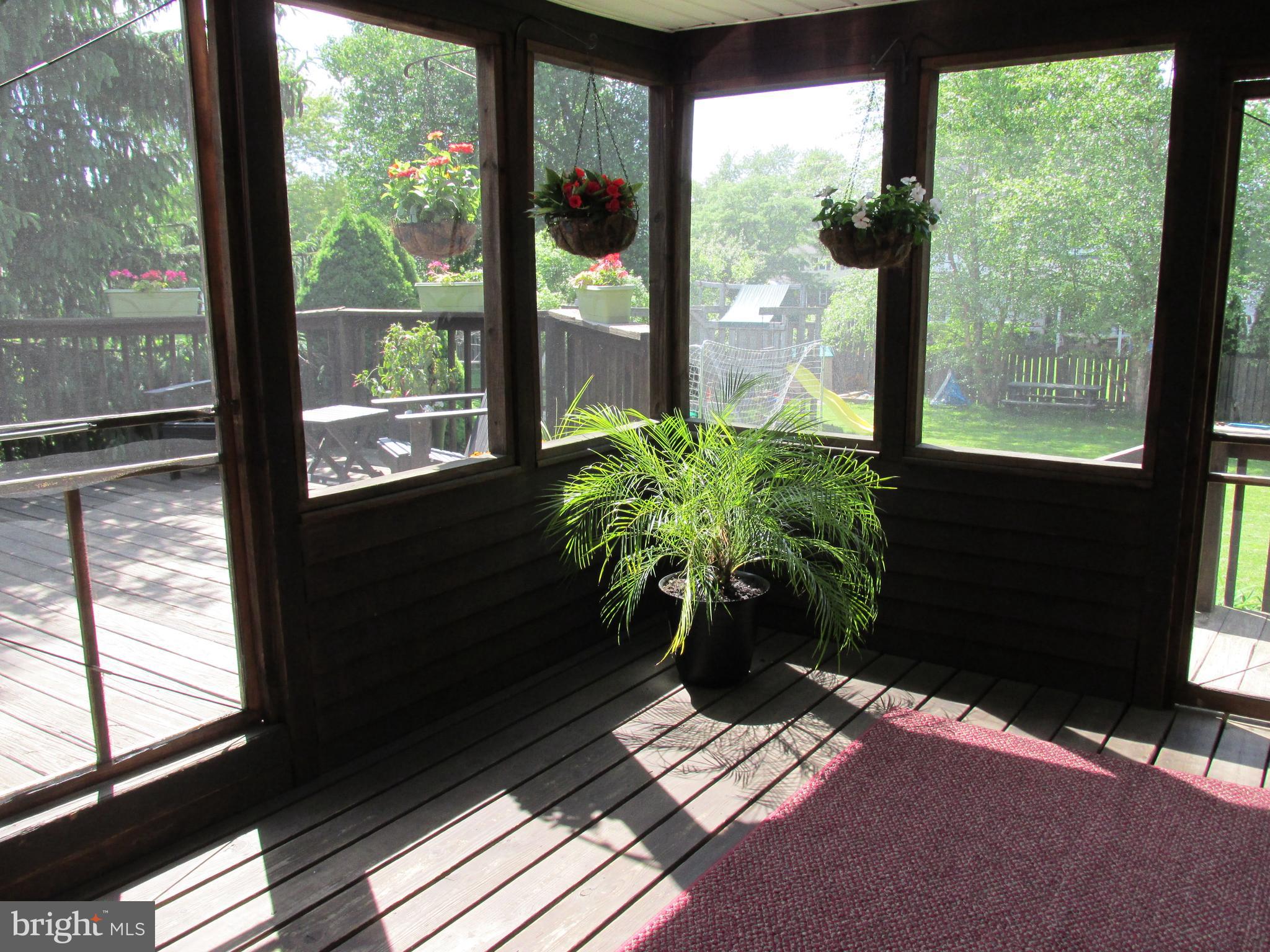 Back Porch