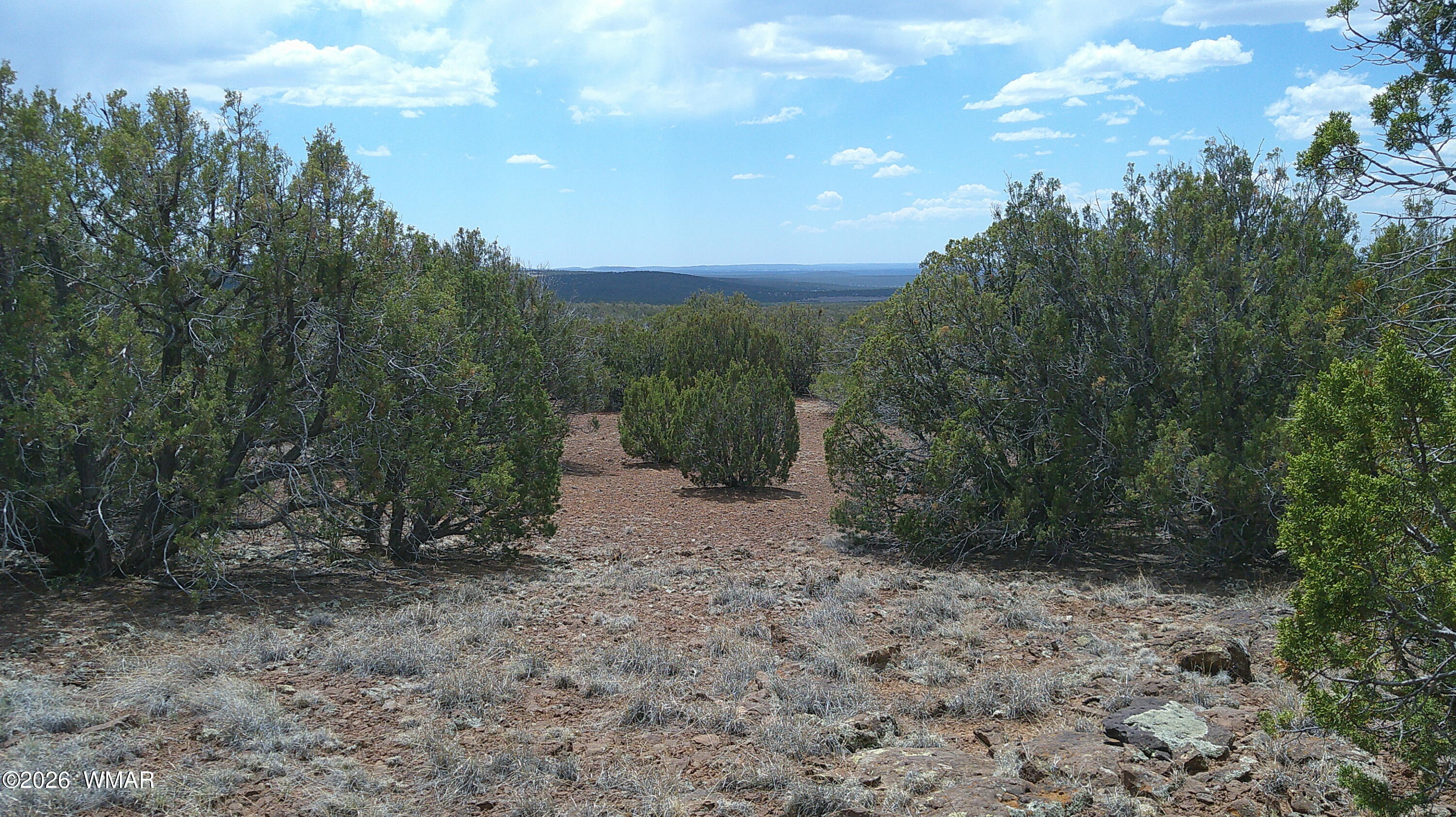 74 Co Road Concho, AZ 85924 - Photo 6 of 11 DSCF0004