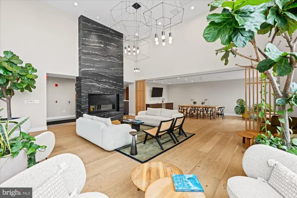 a living room with furniture flower pot and a fireplace