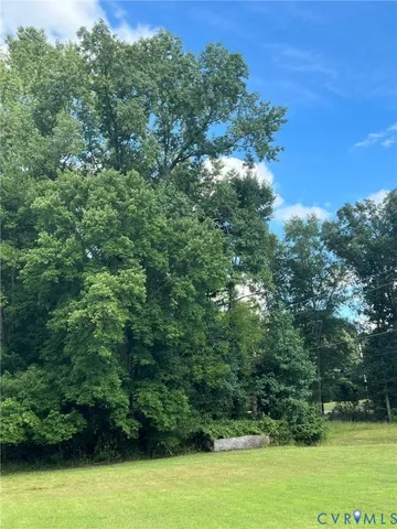 a view of a field with a tree in the background