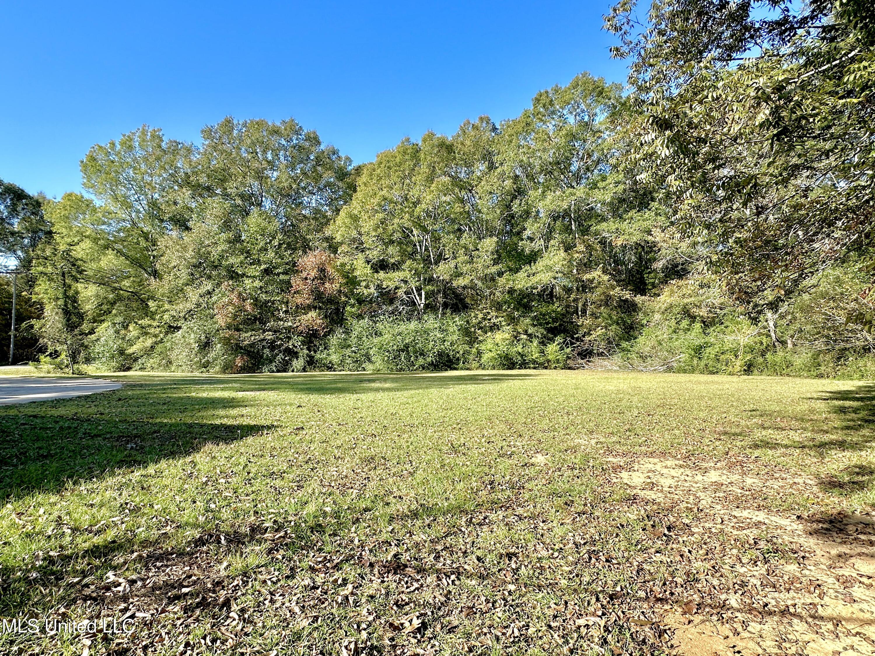 200 Robb Street Summit, MS 39666 - Photo 32 of 34 IMG_8478