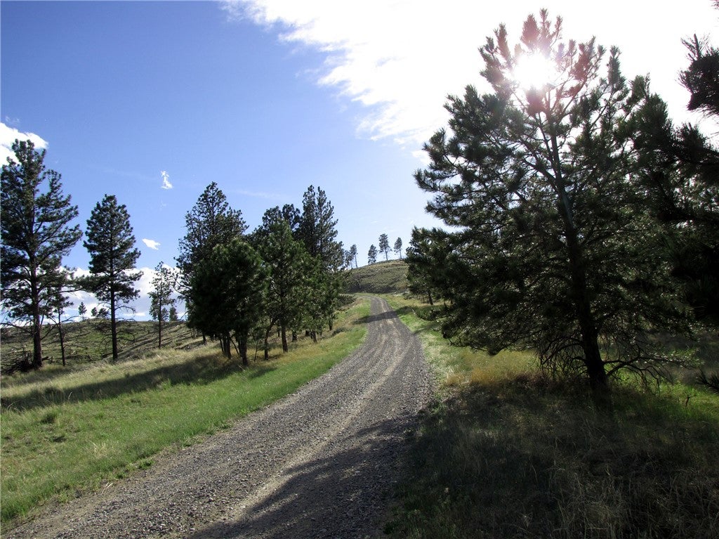 Nhn Nhn Wild Turkey Ridge Road Columbus, MT 59019 - Photo 9 of 47 Gallery Image 9