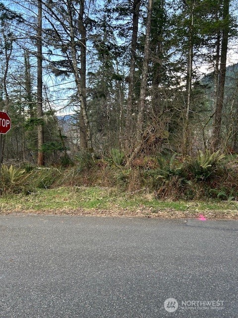 0 Southeast 166th Street North Bend, WA 98045 - Photo 1 of 4 a view of outdoor space and yard