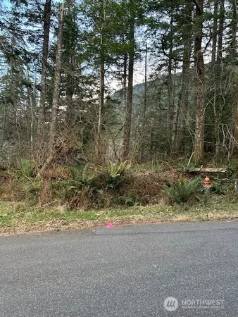 a view of a yard with a tree