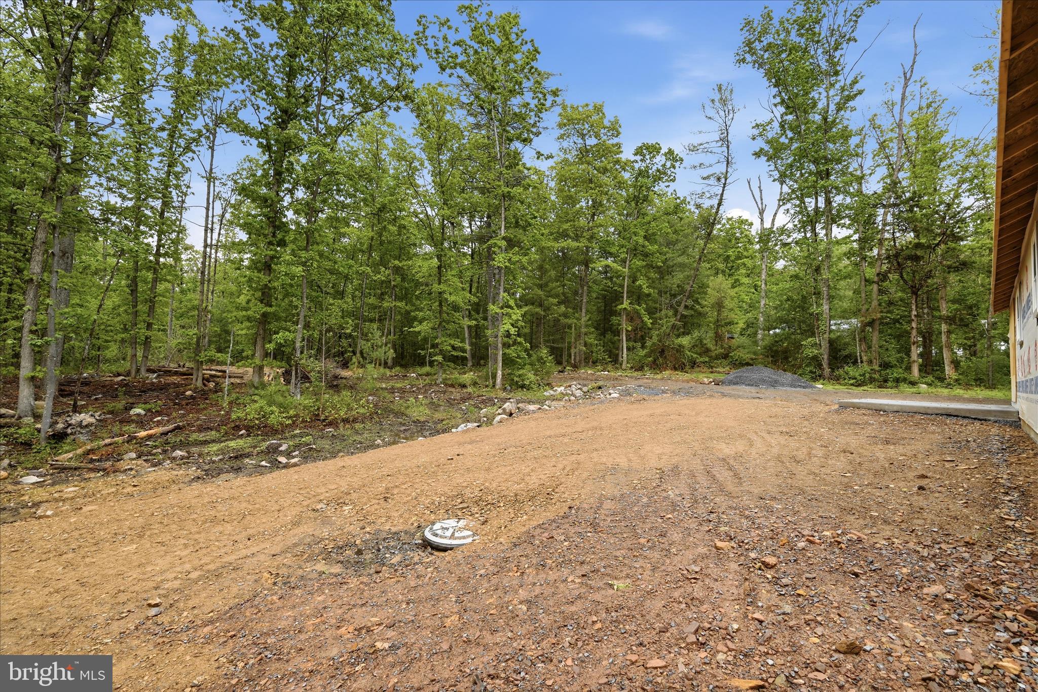 249 Cub Road Wardensville, WV 26851 - Photo 13 of 16 a view of a yard with a tree