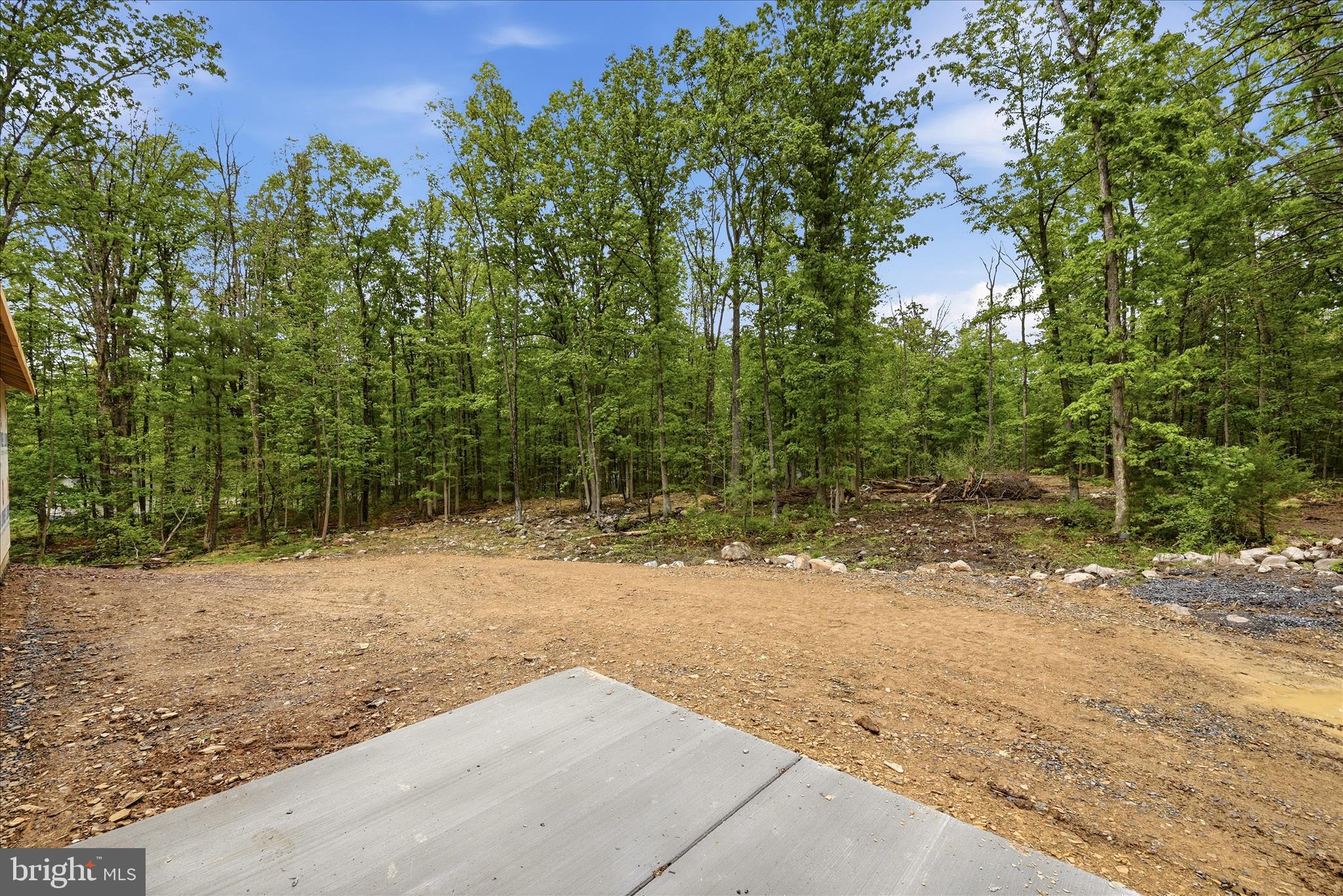 249 Cub Road Wardensville, WV 26851 - Photo 14 of 16 a view of a yard with a tree