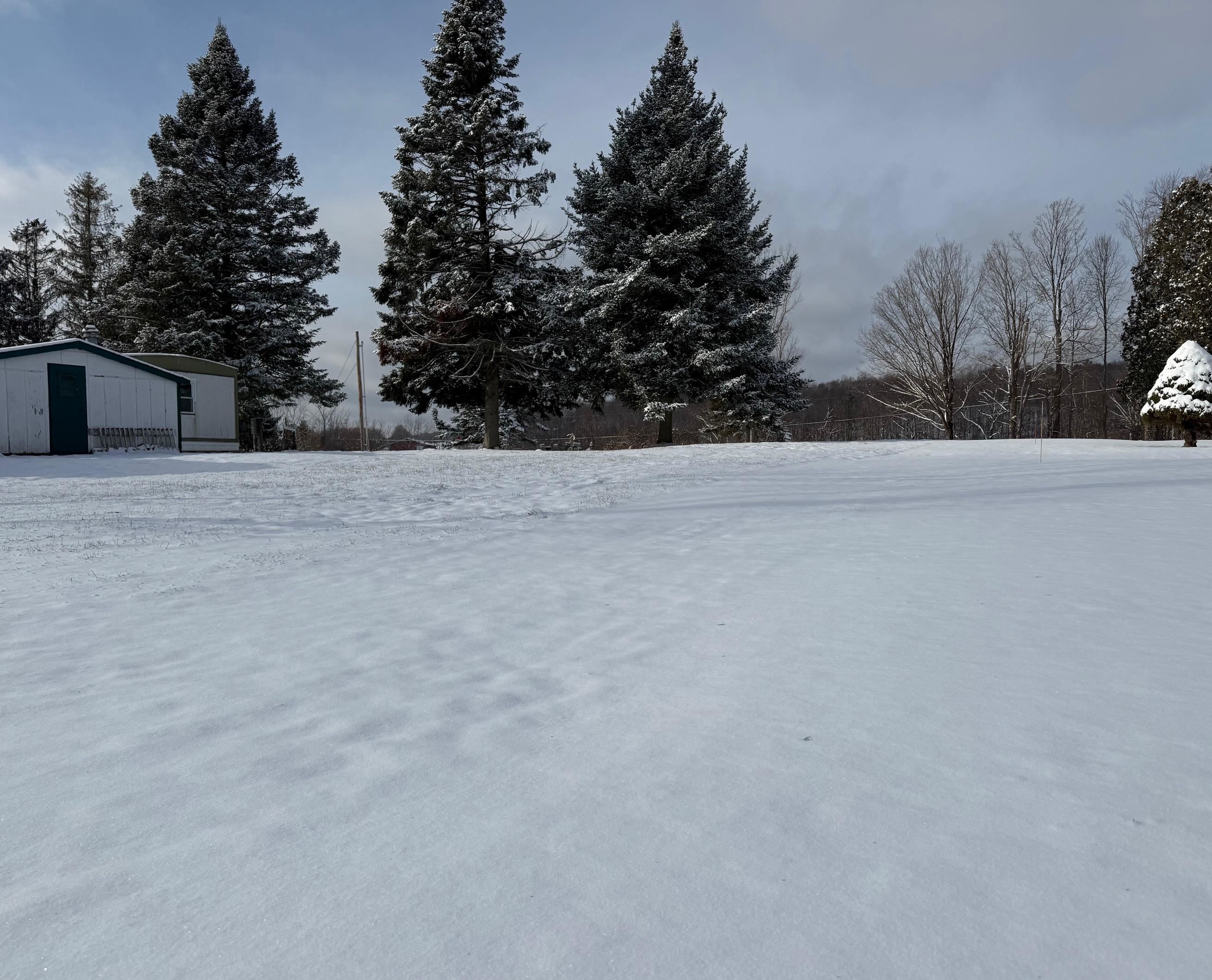 33 Rhodeside Acres Georgia, VT 05468 - Photo 10 of 37