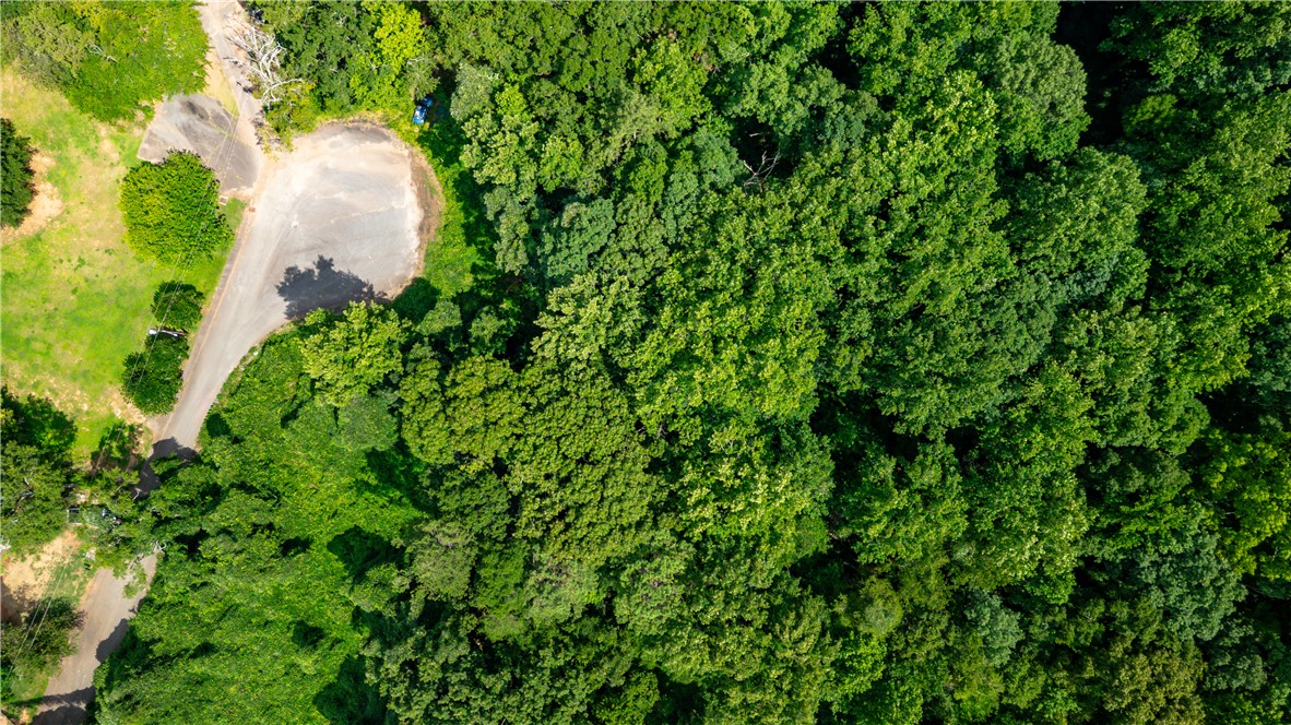 An aerial perspective reveals a serene, heavily wooded lot with convenient road access, offering secluded natural beauty.