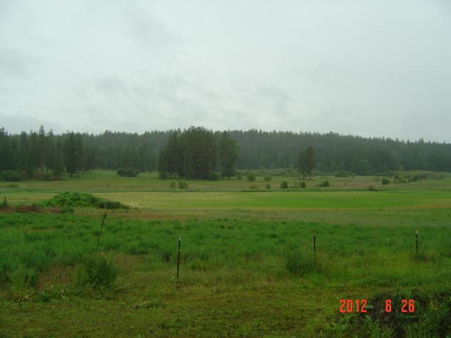 32613 North Findley Road Deer Park, WA 99006 - Photo 6 of 8