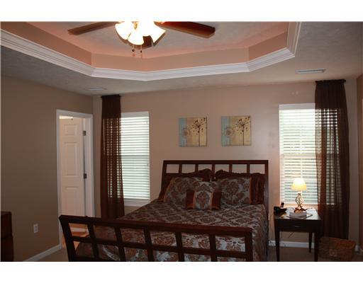 225 Maple Ridge Drive Canonsburg, PA 15317 - Photo 10 of 15 Master Bedroom. tray ceiling in master bedroom