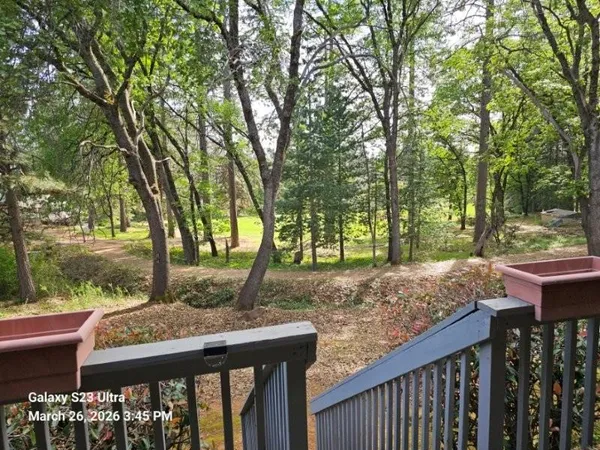 a view of a wooden deck and a forest