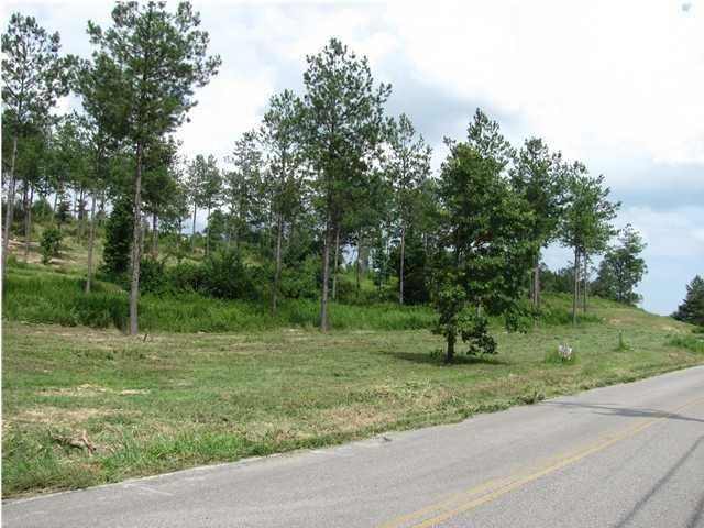 8 Blythe Ferry Road Dayton, TN 37321 - Photo 1 of 9 Primary Photo