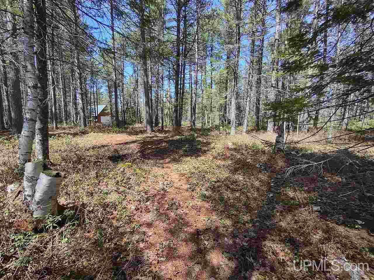 Lot 12 Rice Landing Rd Lake Lake Linden, MI 49945 - Photo 36 of 43
