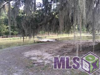 12365 Samuel Babin Road Gonzales, LA 70737 - Photo 8 of 21 Gallery Image 8
