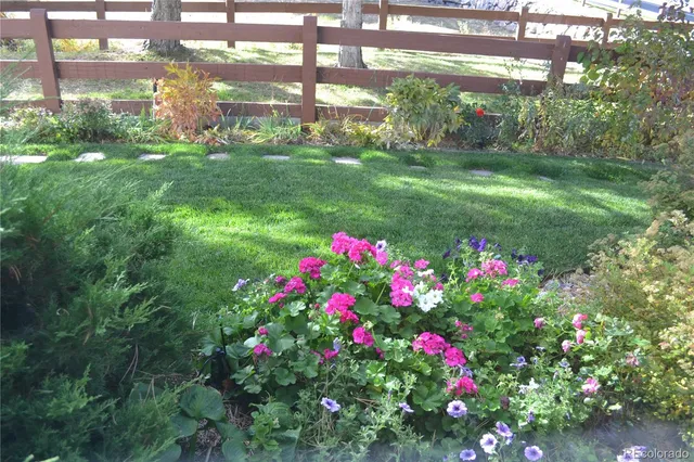 a view of a flower in a yard