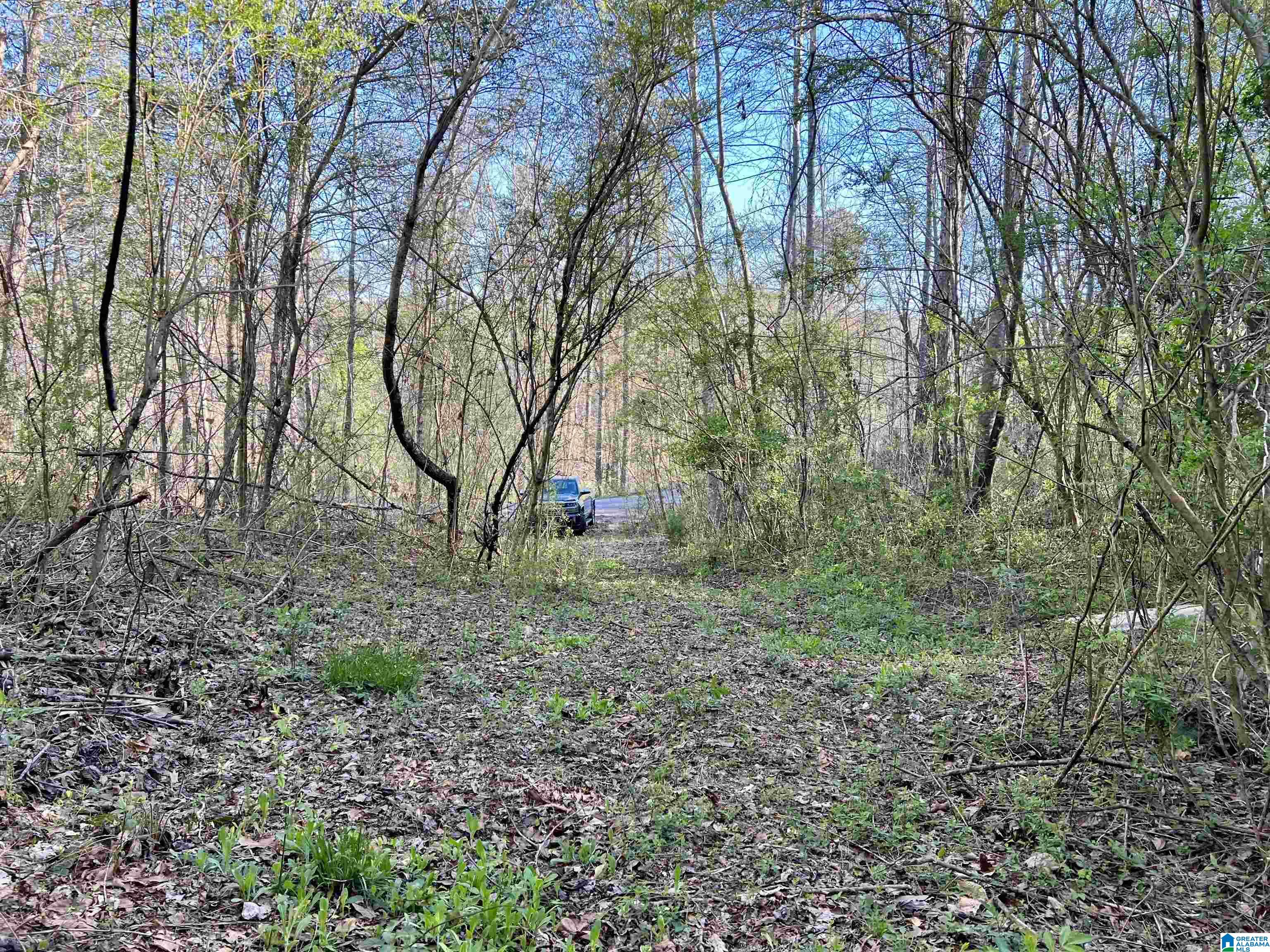 0 Lakeshore Lane, Unit 3 Oneonta, AL 35121 - Photo 4 of 21