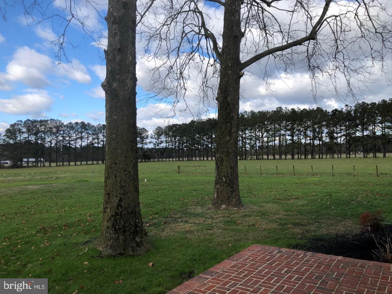 3700 Stockyard Road Eden, MD 21822 - Photo 33 of 35 Gallery Image 33