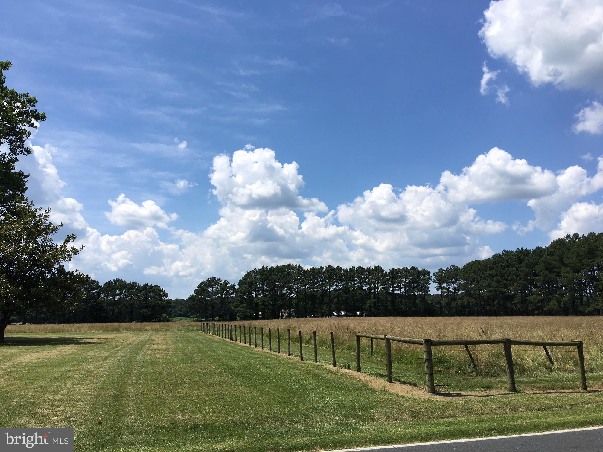 3700 Stockyard Road Eden, MD 21822 - Photo 5 of 35 Gallery Image 5