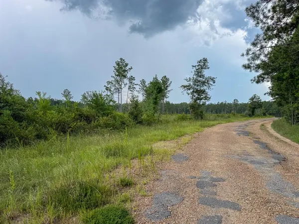 a view of a lake and green space