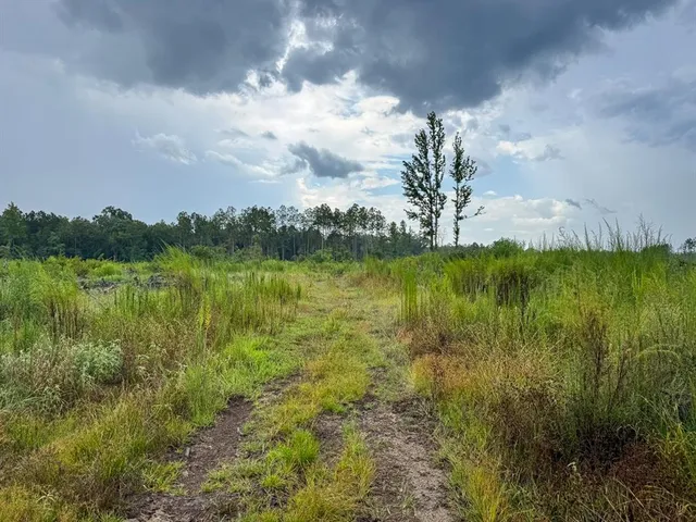 a view of lake with green space